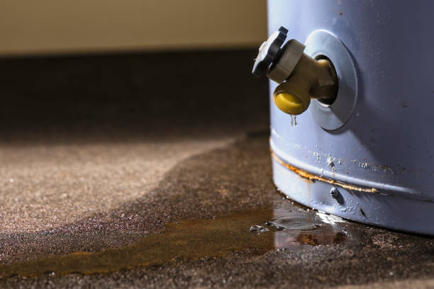 Water damage restoration experts in NJ