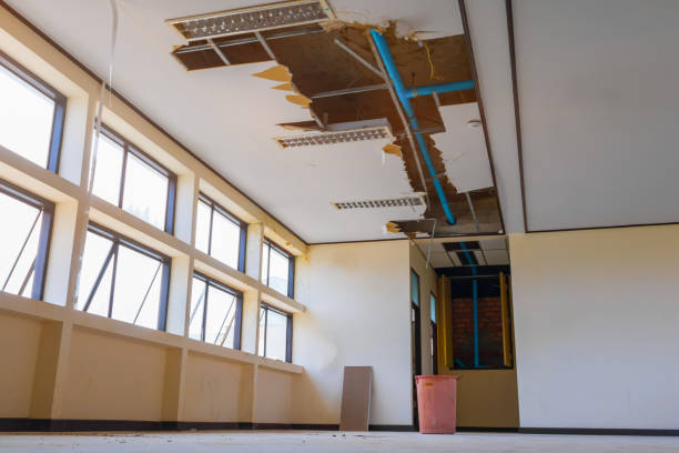 Best Flooded house restoration  in Newton, NJ