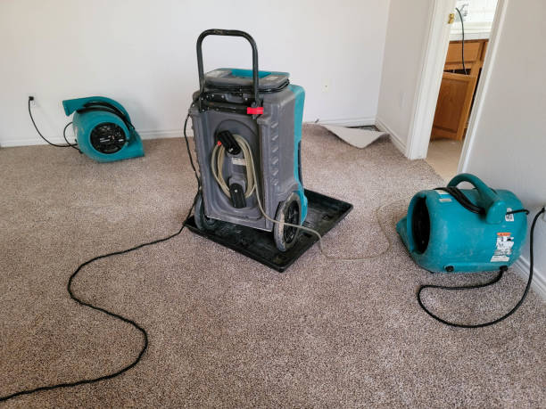 Best Professional water damage repair  in Newton, NJ