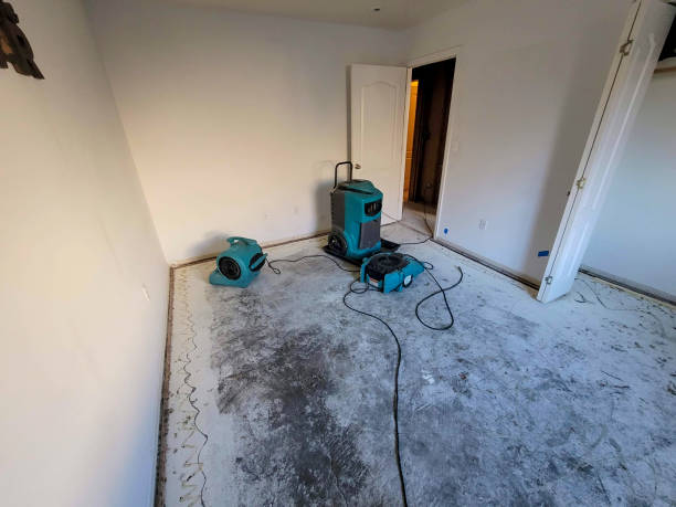 Best Residential water damage restoration  in Newton, NJ