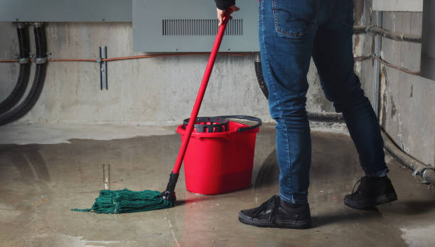 Carpet water damage restoration in NJ