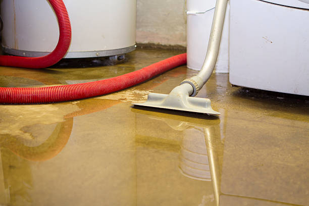 Best Sewage cleanup and water damage restoration  in Newton, NJ