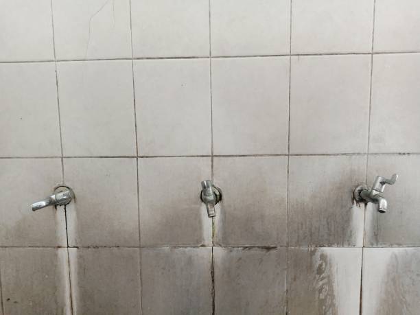 Best Professional water damage repair  in Newton, NJ