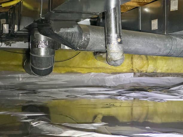 Best Flood restoration services  in Newton, NJ