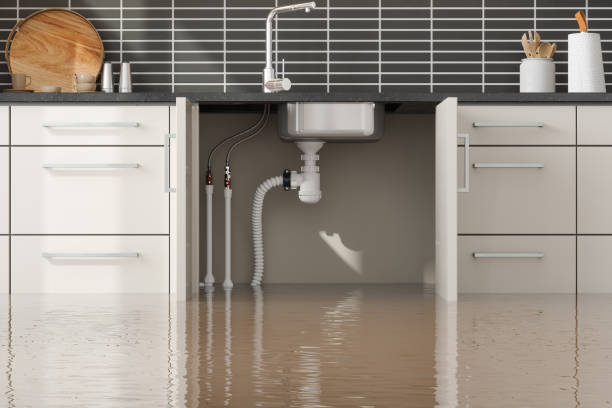 Best 24/7 water damage repair  in Newton, NJ